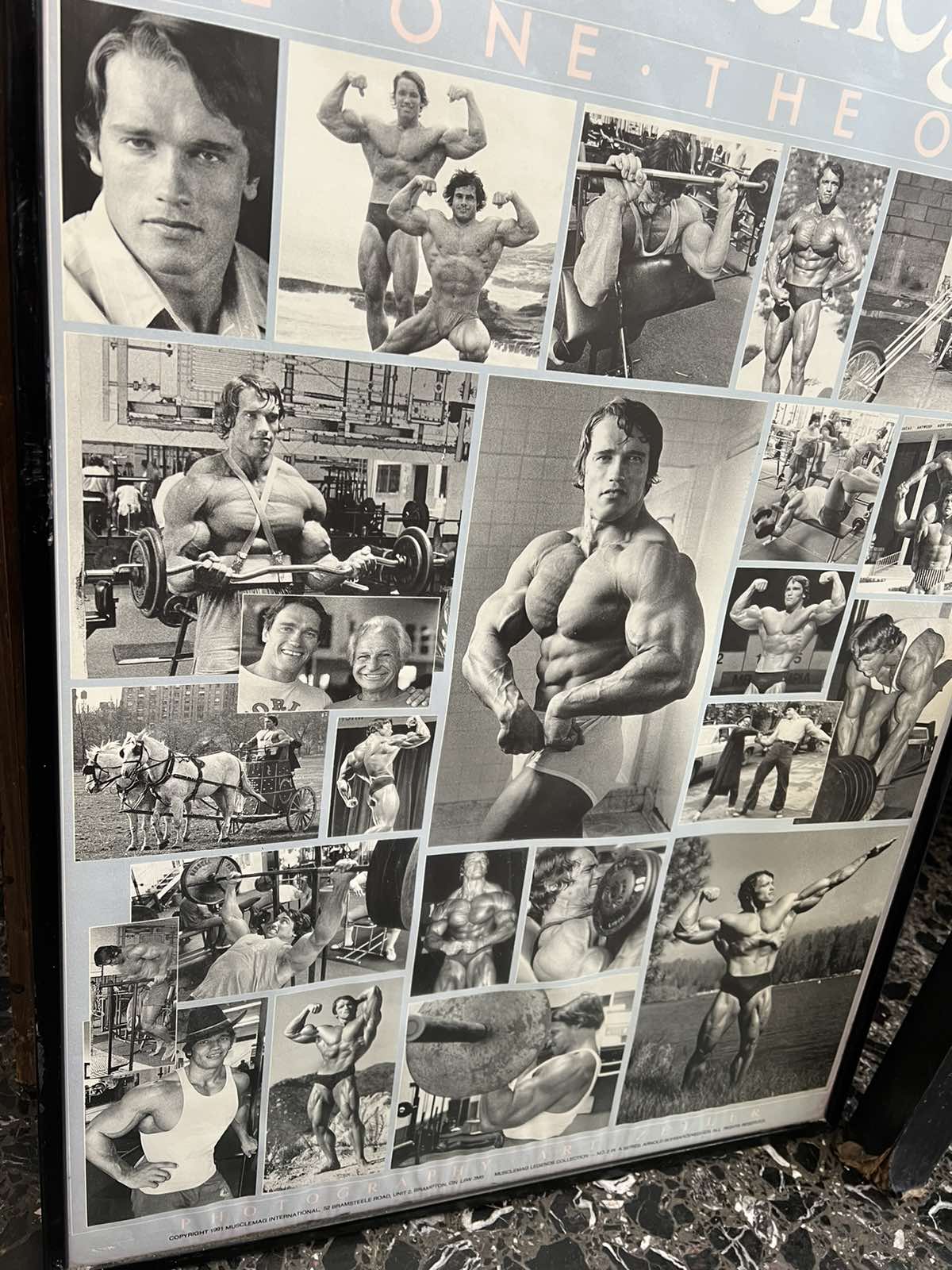 Κάδρο Τοίχου Vintage Arnold Schwarzenegger